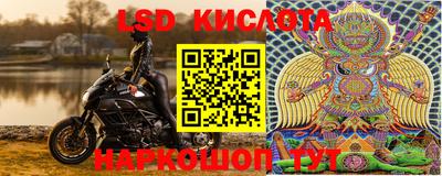 спайс Аргун