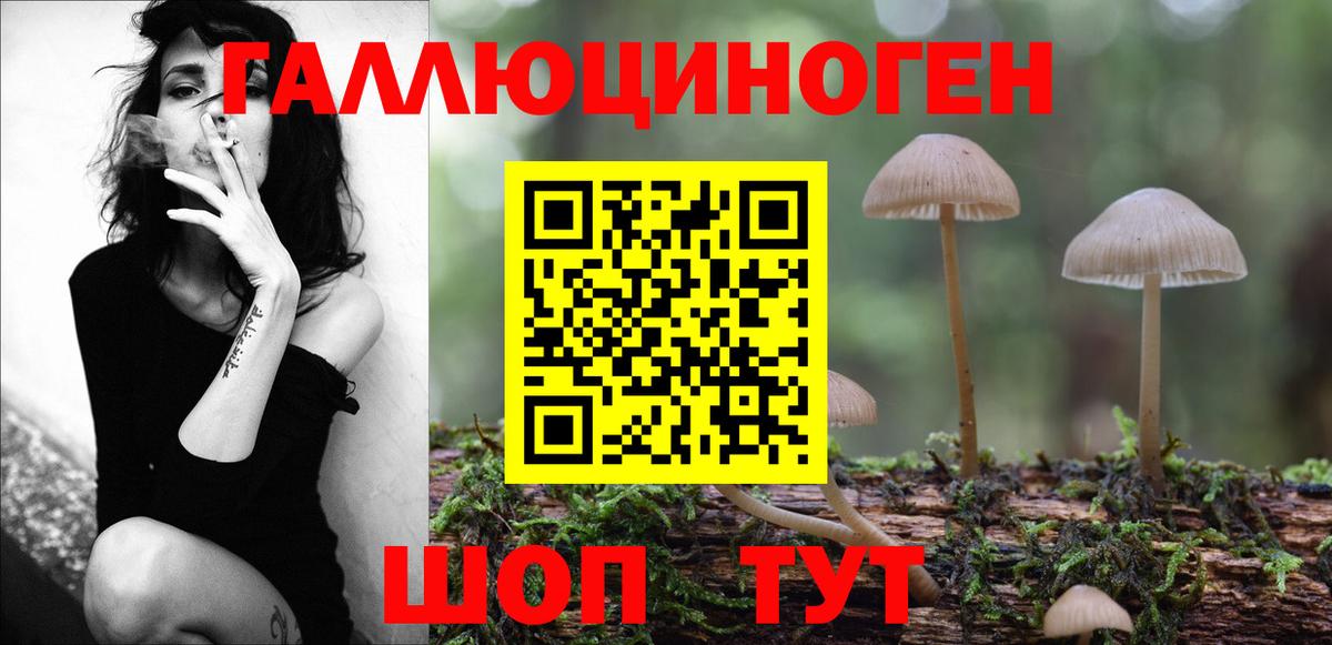 Псилоцибиновые грибы мухоморы  Галлюциногенные грибы прущие грибы  Богданович  Вход с VPN 